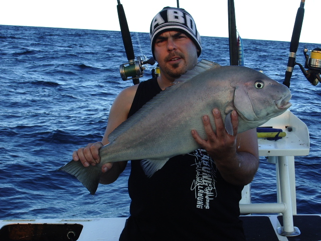 Sand snapper released